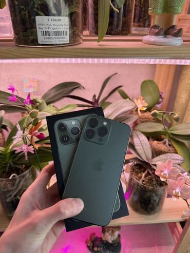 IPhone 13 Pro, Б/у, 128 ГБ, Alpine Green, Коробка, Защитное стекло, Чехол, 77 % at lalafo.kg IPhone 13 Pro, Б/у, 128 ГБ, Alpine Green, Коробка, Защитное стекло, Чехол, 77 %