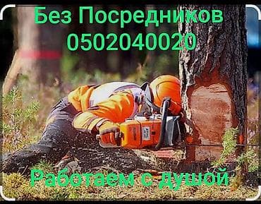 Профессиональная валка и обрезка деревьев. - Спил деревьев любой at lalafo.kg Профессиональная валка и обрезка деревьев. - Спил деревьев любой
