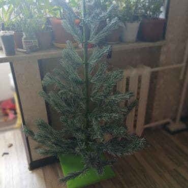 Ёлка 1.30,вся разбирается б/у at lalafo.kg Ёлка 1.30,вся разбирается б/у