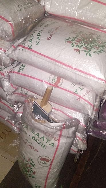 Кара беденин урону сатылат 5 жылдык местный баасы300 сомдон at lalafo.kg Кара беденин урону сатылат 5 жылдык местный баасы300 сомдон