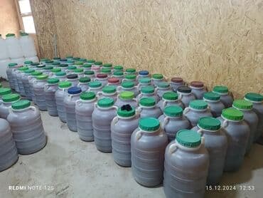 Токтогульский горный мёд только оптом гарантия качества без at lalafo.kg Токтогульский горный мёд только оптом гарантия качества без