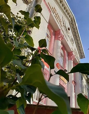 1 комната, 33 м², 104 серия, 4 этаж, Евроремонт at lalafo.kg 1 комната, 33 м², 104 серия, 4 этаж, Евроремонт