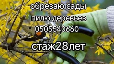 Услуги по уходу за садом и деревьями: - Профессиональная обрезка at lalafo.kg Услуги по уходу за садом и деревьями: - Профессиональная обрезка