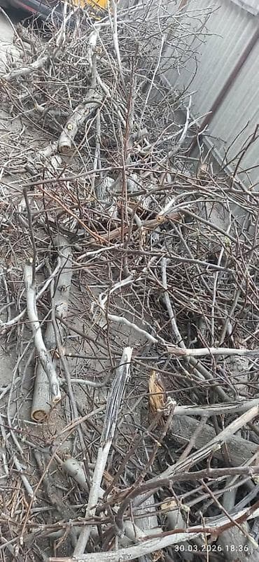 Дрова at lalafo.kg Дрова