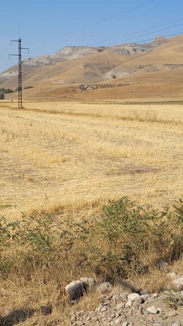 88 соток at lalafo.kg 88 соток