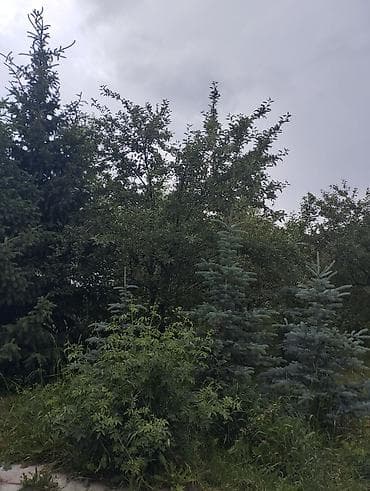 В г.Каракол пр-ся. 6комн.дом,есть огород,баня,сан узел,вода в двух at lalafo.kg — 2 В г.Каракол пр-ся. 6комн.дом,есть огород,баня,сан узел,вода в двух — 2