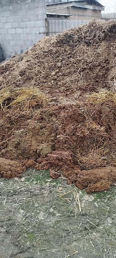 Перепревший навоз со соломой (коровий/конский микс) — натуральное at lalafo.kg Перепревший навоз со соломой (коровий/конский микс) — натуральное