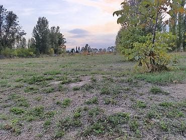 Линолеум: 6 соток, Курулуш, Кызыл китеп, Сатып алуу-сатуу келишими lalafo.kg да — 1 Линолеум: 6 соток, Курулуш, Кызыл китеп, Сатып алуу-сатуу келишими — 1