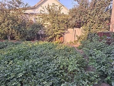 Продажа дач: 🏡 Продаётся просторный и уютный дом из 4 комнат г.Токмок село Чуй ✨ at lalafo.kg — 3 Продажа дач: 🏡 Продаётся просторный и уютный дом из 4 комнат г.Токмок село Чуй ✨ — 3