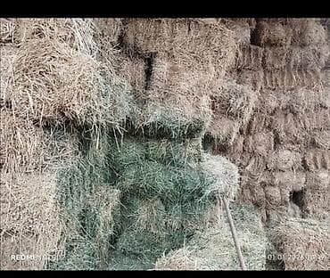 Беде пресс сатылат доставкасы менен бишкек (- +50км) чейин цена at lalafo.kg Беде пресс сатылат доставкасы менен бишкек (- +50км) чейин цена