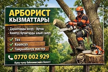 Арбористические услуги - Спиливание деревьев и валка - Удаление at lalafo.kg Арбористические услуги - Спиливание деревьев и валка - Удаление