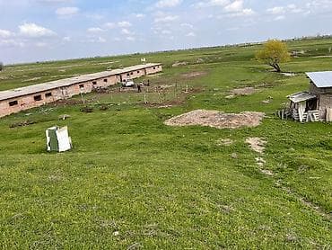 Срочно продаю Сарай, кашара, красная книга, рядом речка, Беловодск at lalafo.kg Срочно продаю Сарай, кашара, красная книга, рядом речка, Беловодск