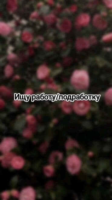 Ищу работу/подработку на долгий срок. Девушка, 17 лет. Паспорт at lalafo.kg Ищу работу/подработку на долгий срок. Девушка, 17 лет. Паспорт