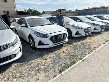 Арендага берилет хундай сонаты
Залог 20т at lalafo.kg Арендага берилет хундай сонаты
Залог 20т