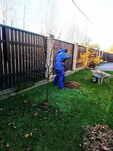 Уборка территории, Уход за деревьями at lalafo.kg — 3 Уборка территории, Уход за деревьями — 3