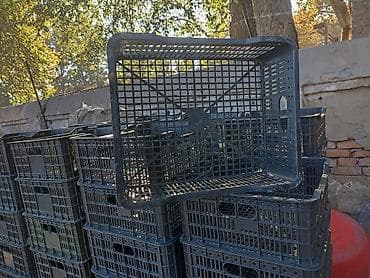 Ящик сатып алам яшик чалгыла баасы келишимдуу суйлошобуз принимаю at lalafo.kg Ящик сатып алам яшик чалгыла баасы келишимдуу суйлошобуз принимаю