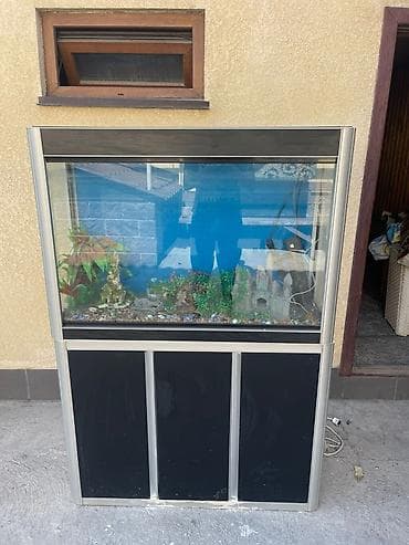 🚨 Уникальная возможность приобрести стильный и функциональный аквариум at lalafo.kg 🚨 Уникальная возможность приобрести стильный и функциональный аквариум