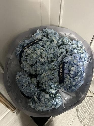 Бонбоньеркалар: Букет из голубых гортензий - Состав: крупные соцветия гортензии lalafo.kg да — 4 Бонбоньеркалар: Букет из голубых гортензий - Состав: крупные соцветия гортензии — 4