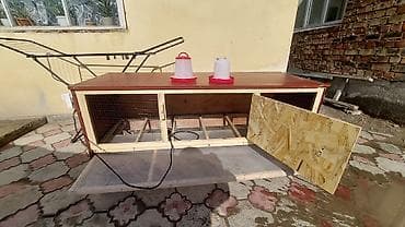 Dongfeng: Брудер/клетка для выращивания цыплят и другой птицы Внимание!!! Прошу at lalafo.kg — 7 Dongfeng: Брудер/клетка для выращивания цыплят и другой птицы Внимание!!! Прошу — 7