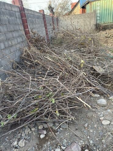 Дрова at lalafo.kg Дрова