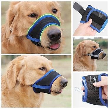 Большой выбор намордников для выгула собак,а так же at lalafo.kg Большой выбор намордников для выгула собак,а так же