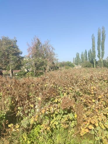 15 соток, Для строительства, Красная книга at lalafo.kg 15 соток, Для строительства, Красная книга