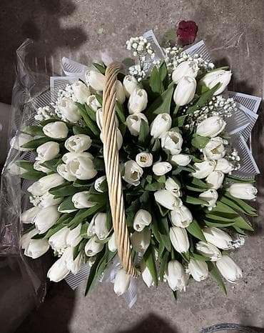 LED гирляндалар: Тюльпаны — срезанные, свежие, в ассортименте сортов и оттенков. Что lalafo.kg да — 1 LED гирляндалар: Тюльпаны — срезанные, свежие, в ассортименте сортов и оттенков. Что — 1