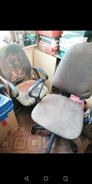 Офис шкафтары: Офис креслолор, Колдонулган, Дөңгөлөктүү, түсү - Кара, Экокожа, Өзү алып кетүү lalafo.kg да — 4 Офис шкафтары: Офис креслолор, Колдонулган, Дөңгөлөктүү, түсү - Кара, Экокожа, Өзү алып кетүү — 4