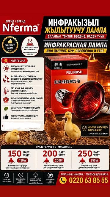 Лампа инфракрасный
Лампа для цыплят at lalafo.kg Лампа инфракрасный
Лампа для цыплят