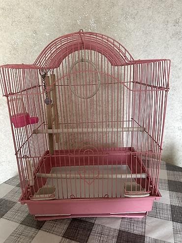 Клетка для птиц розового цвета - Размер: ориентировочно средний at lalafo.kg Клетка для птиц розового цвета - Размер: ориентировочно средний