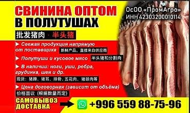 СВИНИНА ОПТОМ В ПОЛУТУШАХ Ассортимент: - Полутуши и фасованное at lalafo.kg СВИНИНА ОПТОМ В ПОЛУТУШАХ Ассортимент: - Полутуши и фасованное
