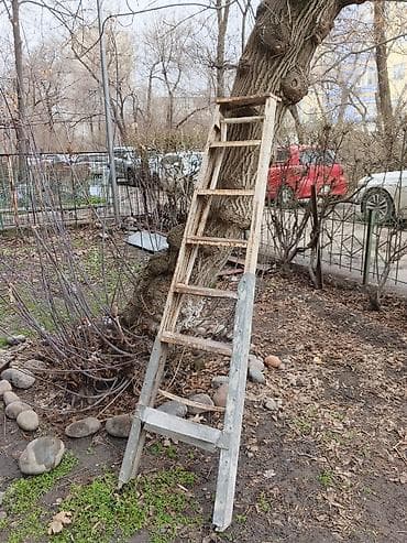 Даяр балястиналар: Бүктөлүүчү тепкич-стремянка, Материалы: Металл, Колдонулган, Үй үчүн, Бийиктиги: 2–3 м lalafo.kg да — 3 Даяр балястиналар: Бүктөлүүчү тепкич-стремянка, Материалы: Металл, Колдонулган, Үй үчүн, Бийиктиги: 2–3 м — 3