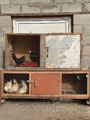 Продаю клетки для птиц at lalafo.kg Продаю клетки для птиц