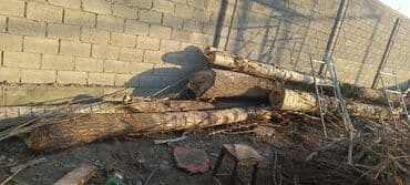 Бревна/деревесина для распила или на дрова Описание: - Несколько at lalafo.kg Бревна/деревесина для распила или на дрова Описание: - Несколько