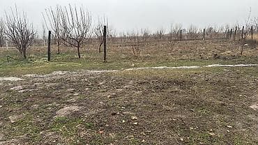 14 соток, Красная книга at lalafo.kg 14 соток, Красная книга