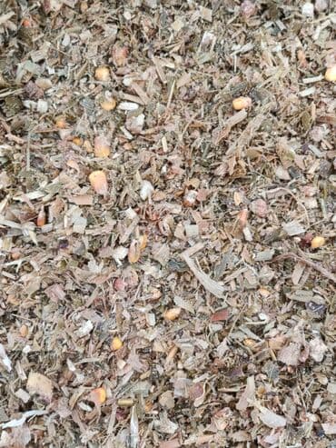 Силос в рулонах по 9 сом с погрузкой at lalafo.kg Силос в рулонах по 9 сом с погрузкой