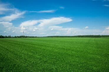 600 соток, Для сельского хозяйства, Тех паспорт at lalafo.kg 600 соток, Для сельского хозяйства, Тех паспорт