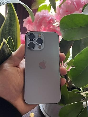 IPhone 13 Pro, Б/у, 256 ГБ, Серебристый, 74 % at lalafo.kg IPhone 13 Pro, Б/у, 256 ГБ, Серебристый, 74 %