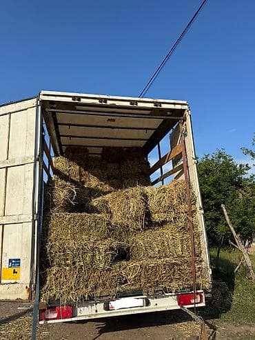 Эспарце́т
Экспарсет
Продаю с доставкой в любые регионы.
600 штук lalafo.kg да Эспарце́т
Экспарсет
Продаю с доставкой в любые регионы.
600 штук