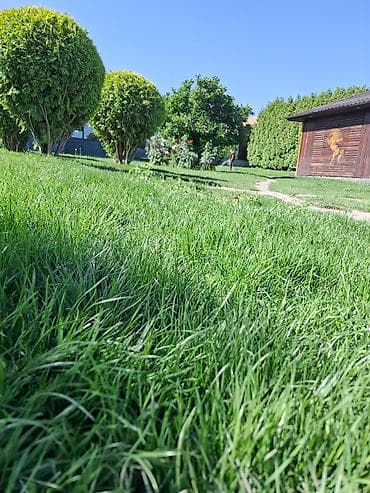 Участок с ухоженным газоном и декоративными насаждениями. На at lalafo.kg Участок с ухоженным газоном и декоративными насаждениями. На