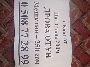 Дрова Карагач, Самовывоз at lalafo.kg Дрова Карагач, Самовывоз