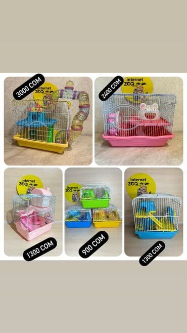 Чычкандар: У нас большой выбор клеток для хомяков. Одноэтажные, двухэтажные lalafo.kg да — 1 Чычкандар: У нас большой выбор клеток для хомяков. Одноэтажные, двухэтажные — 1