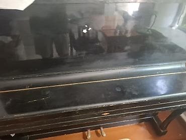 gitara lakewood: Фортепиано «Беларусь» в хорошем состоянии - Клавиатура: 88 клавиш at lalafo.kg — 2 gitara lakewood: Фортепиано «Беларусь» в хорошем состоянии - Клавиатура: 88 клавиш — 2