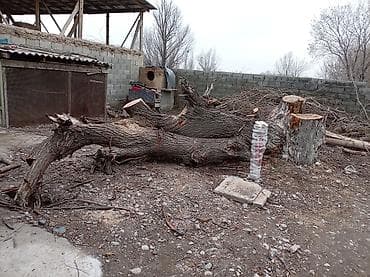 Бекер берем адрес Теңдик Алтын казык at lalafo.kg Бекер берем адрес Теңдик Алтын казык