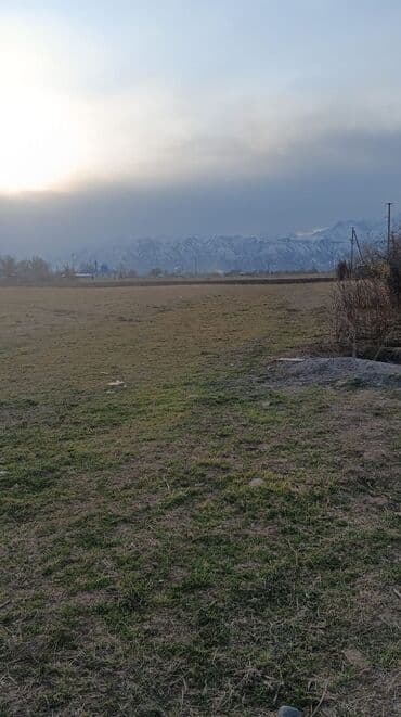 5 соток, Красная книга at lalafo.kg 5 соток, Красная книга