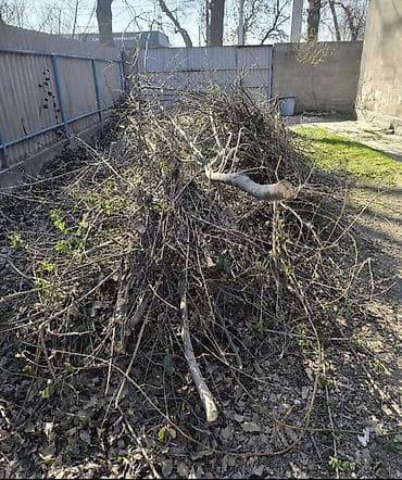 БЕСПЛАТНО ОТДАЮ ВЕТКИ доски . РАЙОН КОЖ ЗАВОДА . Сухие ветки и at lalafo.kg БЕСПЛАТНО ОТДАЮ ВЕТКИ доски . РАЙОН КОЖ ЗАВОДА . Сухие ветки и