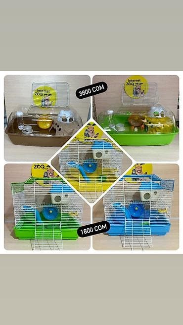 Деңиз чочколору: У нас большой выбор клеток для хомяков. Одноэтажные, двухэтажные lalafo.kg да — 4 Деңиз чочколору: У нас большой выбор клеток для хомяков. Одноэтажные, двухэтажные — 4