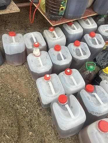 Канистра at lalafo.kg Канистра