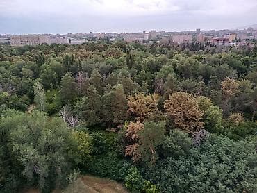 4 комнаты, Собственник, Без подселения, С мебелью полностью at lalafo.kg 4 комнаты, Собственник, Без подселения, С мебелью полностью