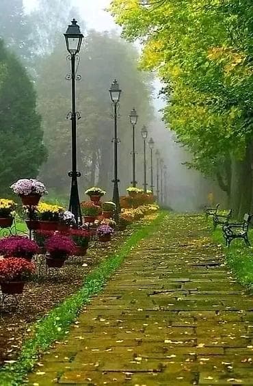 Стройка жумуш керек Описание: - Яркое изображение дерева, освещённого at lalafo.kg Стройка жумуш керек Описание: - Яркое изображение дерева, освещённого